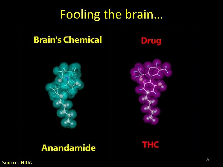 Fooling the brain… Source: NIDA 39 Fooling the brain… Source: NIDA 39