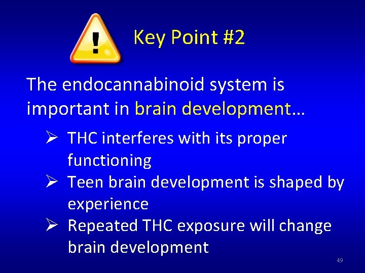 Key Point #2 The endocannabinoid system is important in brain development… Ø THC interferes Key Point #2 The endocannabinoid system is important in brain development… Ø THC interferes