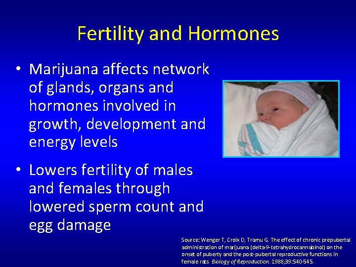Fertility and Hormones • Marijuana affects network of glands, organs and hormones involved in Fertility and Hormones • Marijuana affects network of glands, organs and hormones involved in