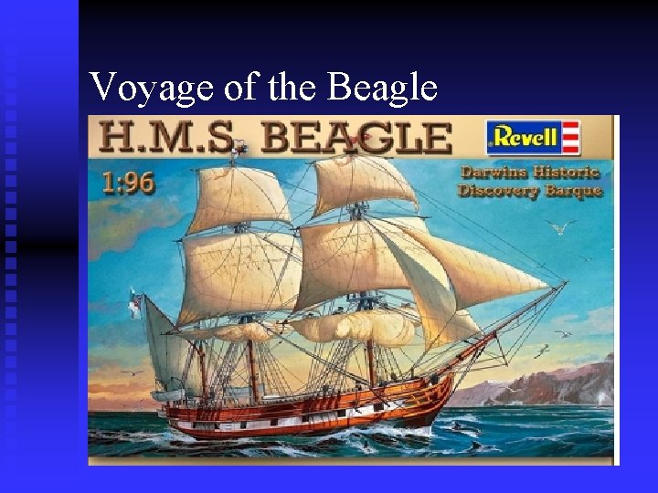 Voyage of the Beagle 