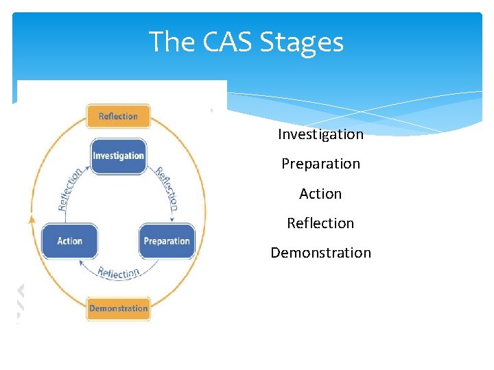 The CAS Stages Investigation Preparation Action Reflection Demonstration 