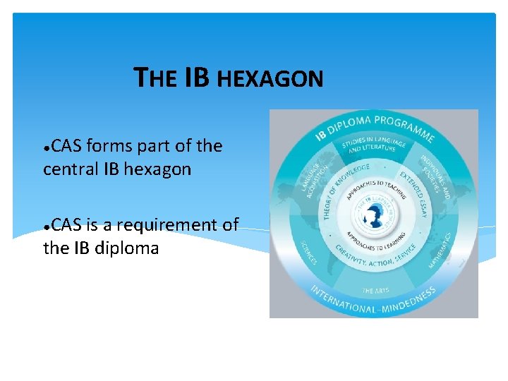 THE IB HEXAGON CAS forms part of the central IB hexagon ● CAS is