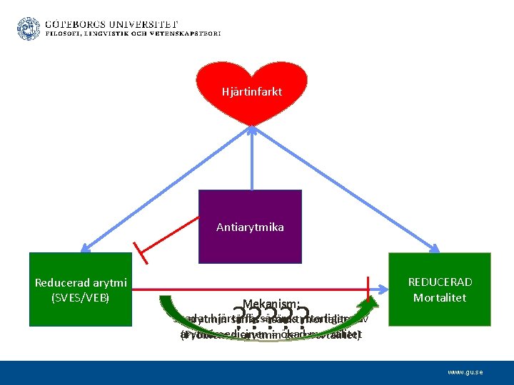 Hjärtinfarkt Antiarytmika Arytmiarytmi Reducerad (SVES/VEB) Mekanism: Skadat hjärta försämras arytmin sänks = sänkt ytterligare