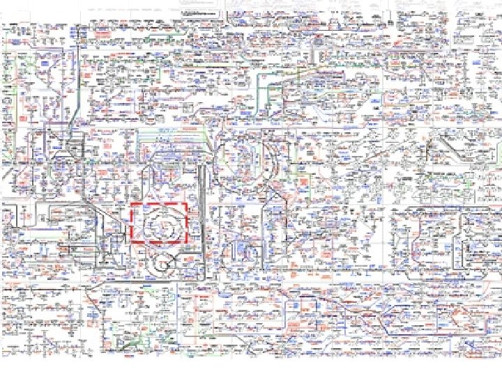 Ontologiskt problem • Att mekanismerna är för oregelbundna, lokalt knutna och ibland paradoxala för