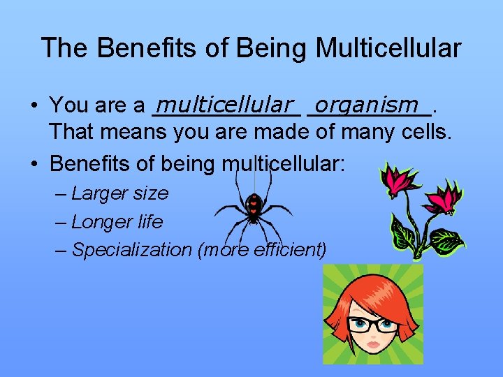 The Benefits of Being Multicellular • You are a ______ multicellular _____. organism That