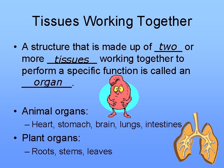 Tissues Working Together • A structure that is made up of _____ two or