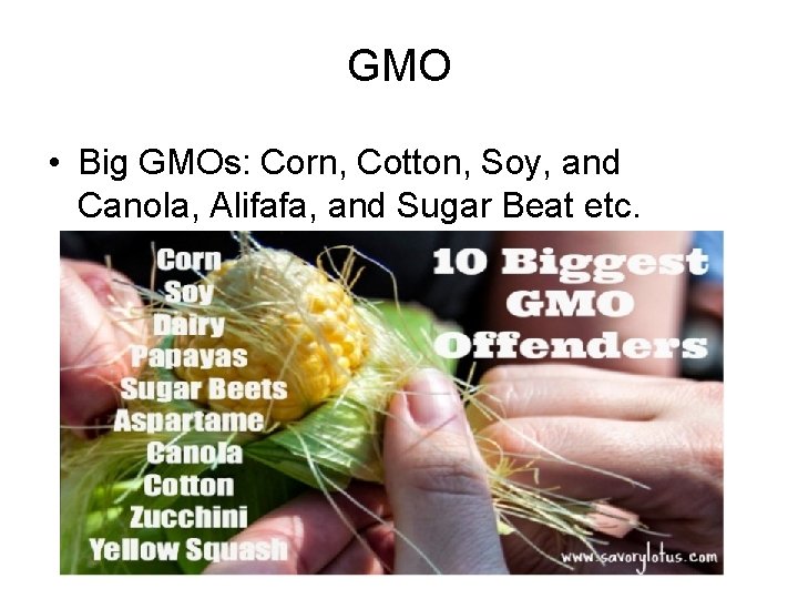 GMO • Big GMOs: Corn, Cotton, Soy, and Canola, Alifafa, and Sugar Beat etc.