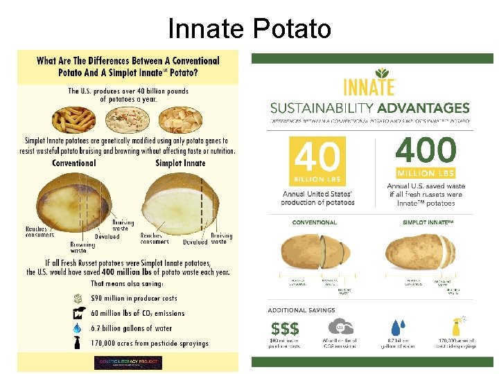 Innate Potato 