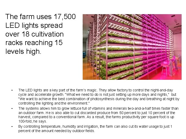 The farm uses 17, 500 LED lights spread over 18 cultivation racks reaching 15