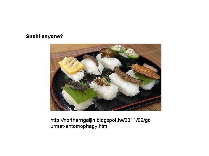 Sushi anyone? http: //northerngaijin. blogspot. tw/2011/06/go urmet-entomophagy. html 