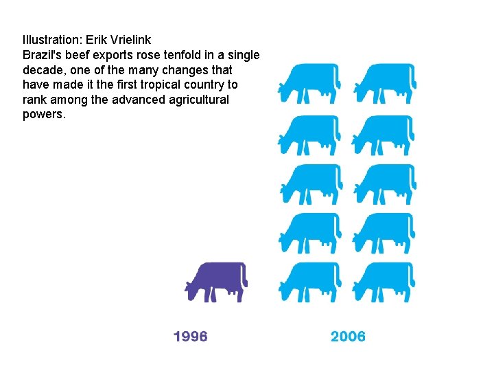 Illustration: Erik Vrielink Brazil's beef exports rose tenfold in a single decade, one of