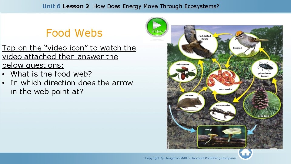 Unit 6 Lesson 2 How Does Energy Move Through Ecosystems? Food Webs Tap on