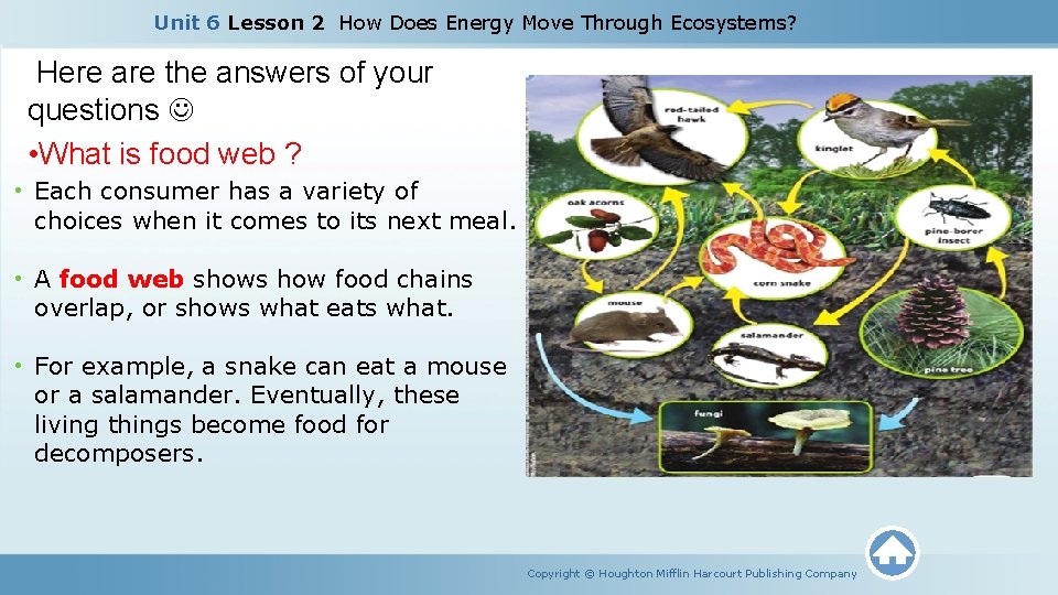 Unit 6 Lesson 2 How Does Energy Move Through Ecosystems? Here are the answers