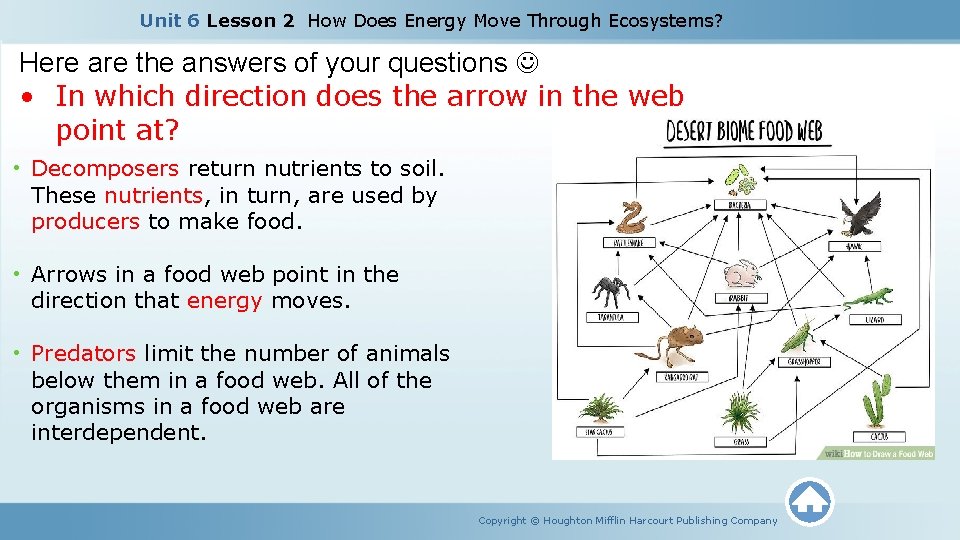 Unit 6 Lesson 2 How Does Energy Move Through Ecosystems? Here are the answers