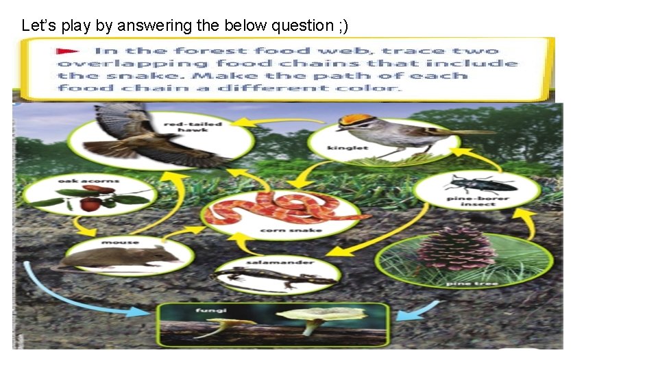 Let’s play by answering the below question ; ) 