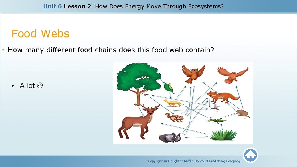 Unit 6 Lesson 2 How Does Energy Move Through Ecosystems? Food Webs • How