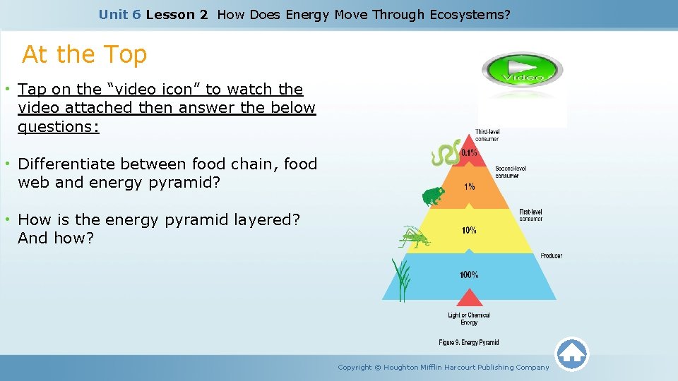 Unit 6 Lesson 2 How Does Energy Move Through Ecosystems? At the Top •