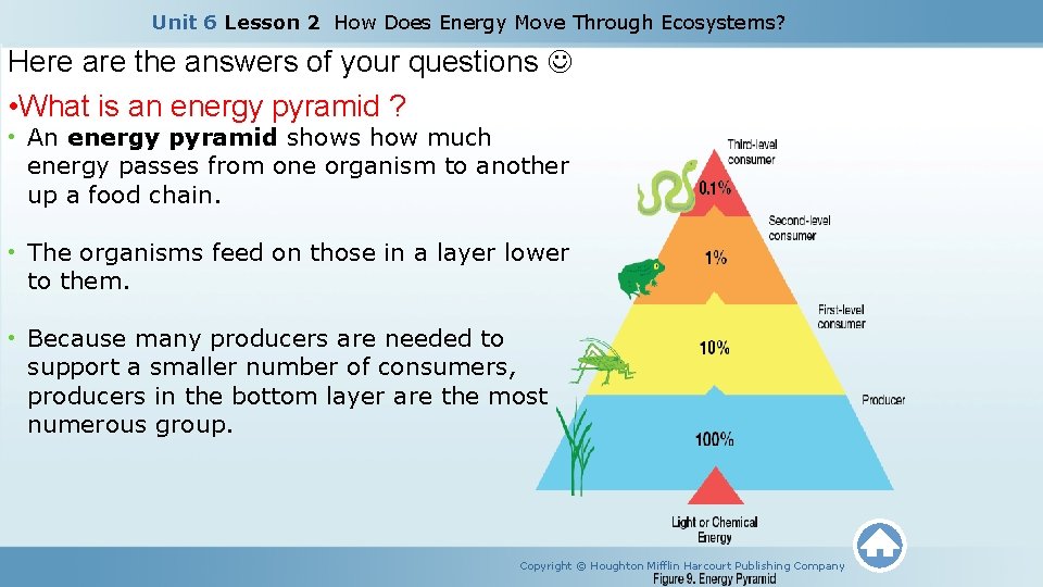 Unit 6 Lesson 2 How Does Energy Move Through Ecosystems? Here are the answers