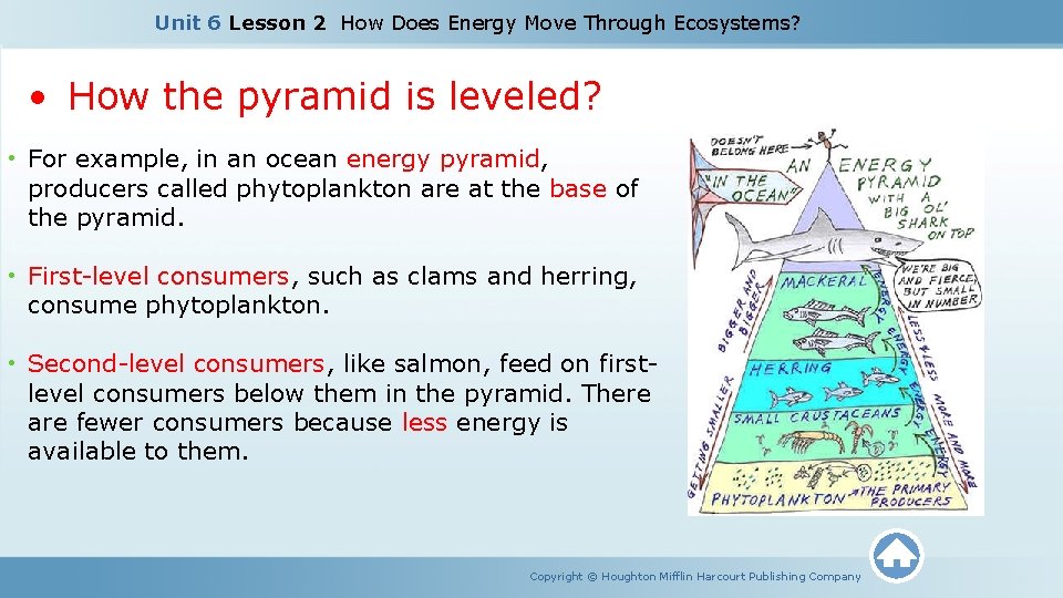 Unit 6 Lesson 2 How Does Energy Move Through Ecosystems? • How the pyramid