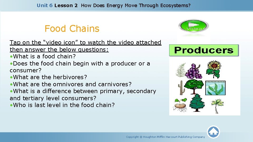 Unit 6 Lesson 2 How Does Energy Move Through Ecosystems? Food Chains Tap on