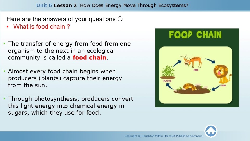 Unit 6 Lesson 2 How Does Energy Move Through Ecosystems? Here are the answers