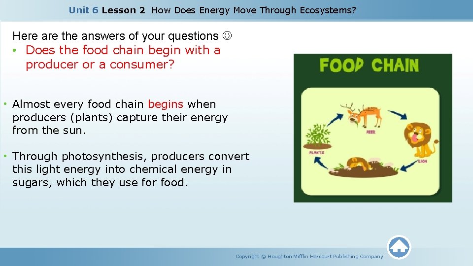 Unit 6 Lesson 2 How Does Energy Move Through Ecosystems? Here are the answers