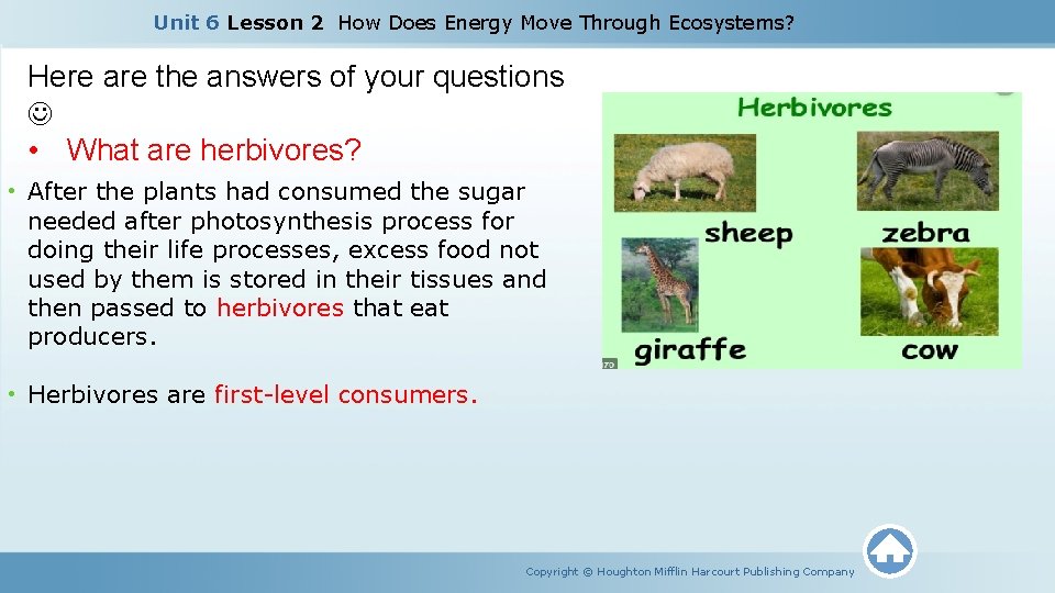 Unit 6 Lesson 2 How Does Energy Move Through Ecosystems? Here are the answers
