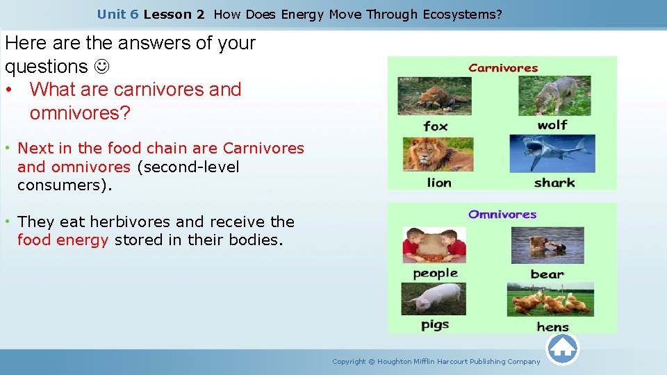 Unit 6 Lesson 2 How Does Energy Move Through Ecosystems? Here are the answers