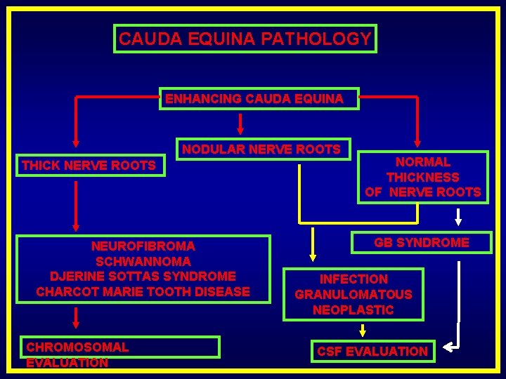 CAUDA EQUINA PATHOLOGY ENHANCING CAUDA EQUINA NODULAR NERVE ROOTS THICK NERVE ROOTS NEUROFIBROMA SCHWANNOMA