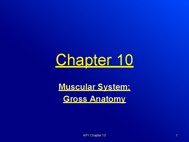 Chapter 10 Muscular System: Gross Anatomy AP 1 Chapter 10 1 