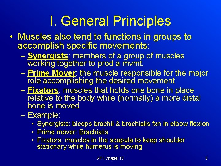 I. General Principles • Muscles also tend to functions in groups to accomplish specific