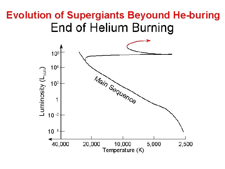 Evolution of Supergiants Beyound He-buring 