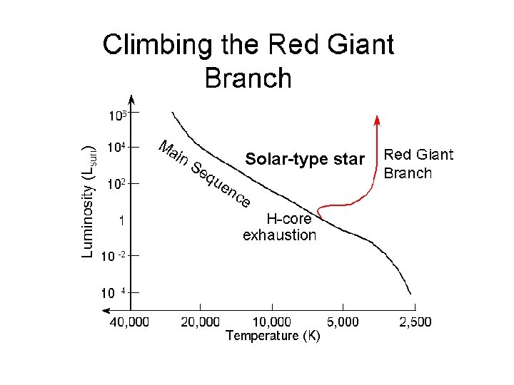 Solar-type star 