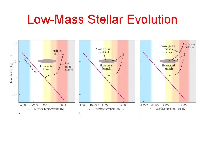 Low-Mass Stellar Evolution 