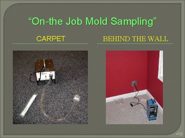 “On-the Job Mold Sampling” CARPET BEHIND THE WALL • 19 