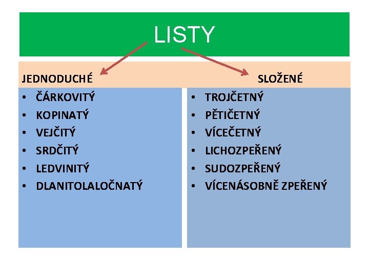 LISTY JEDNODUCHÉ • • • ČÁRKOVITÝ KOPINATÝ VEJČITÝ SRDČITÝ LEDVINITÝ DLANITOLALOČNATÝ SLOŽENÉ • •