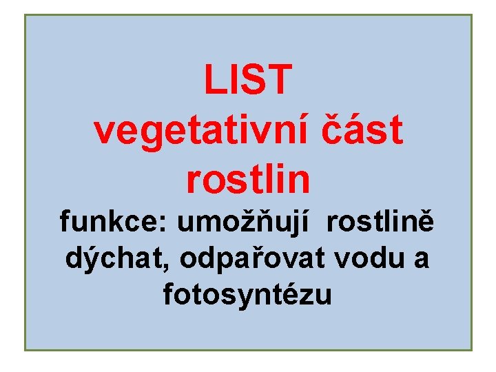 LIST vegetativní část rostlin funkce: umožňují rostlině dýchat, odpařovat vodu a fotosyntézu 