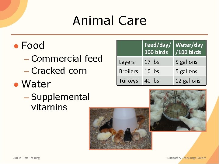 Animal Care ● Food – Commercial feed – Cracked corn ● Water Feed/day/ Water/day