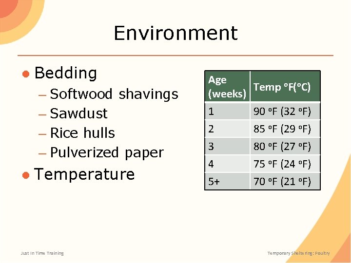 Environment ● Bedding – Softwood shavings – Sawdust – Rice hulls – Pulverized paper