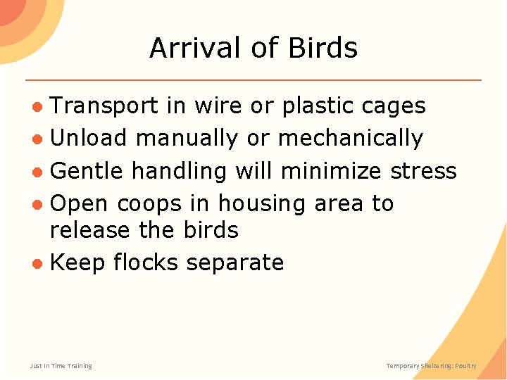 Arrival of Birds ● Transport in wire or plastic cages ● Unload manually or