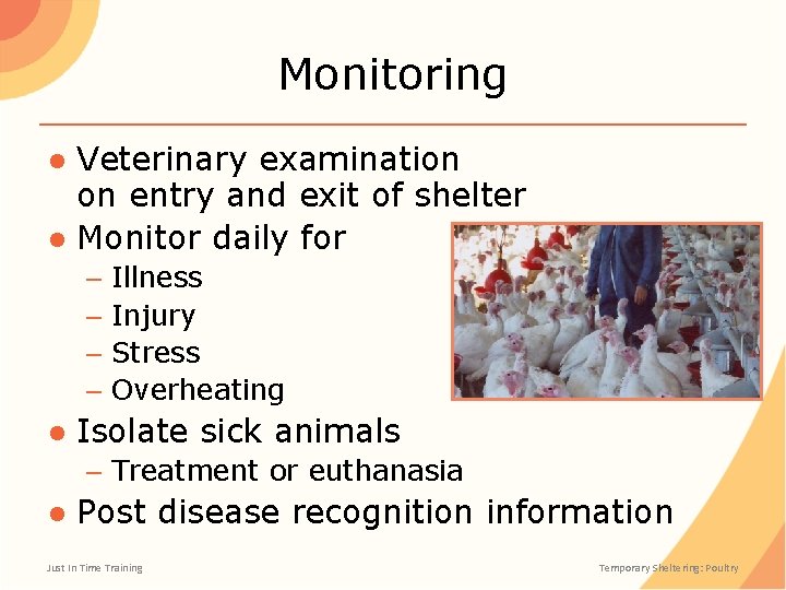 Monitoring ● Veterinary examination on entry and exit of shelter ● Monitor daily for