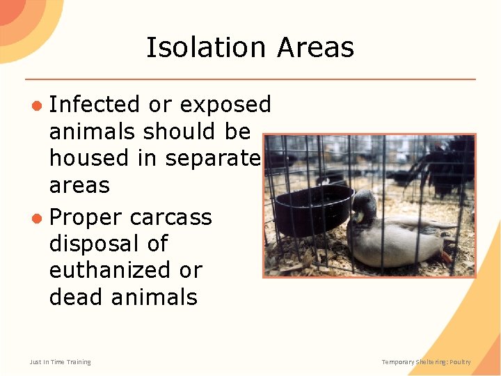 Isolation Areas ● Infected or exposed animals should be housed in separate areas ●