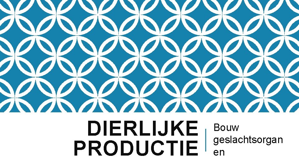 DIERLIJKE PRODUCTIE Bouw geslachtsorgan en 