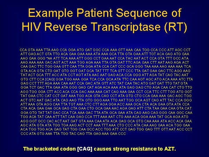 Example Patient Sequence of HIV Reverse Transcriptase (RT) CCA GTA AAA TTA AAG CCA