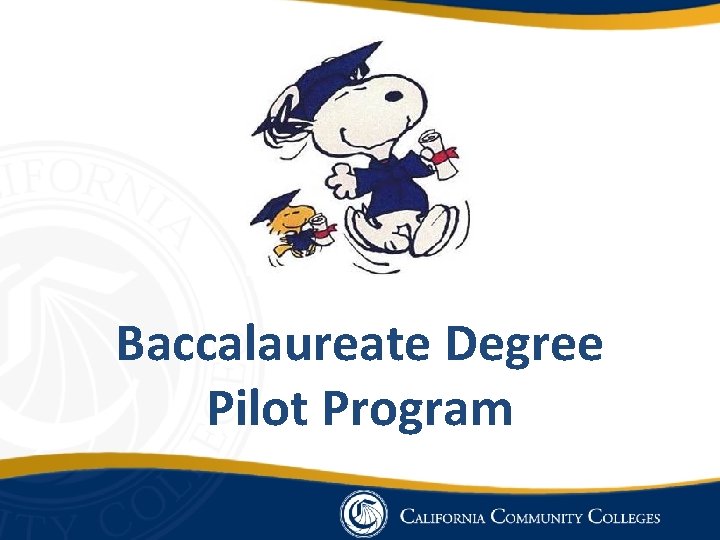 Baccalaureate Degree Pilot Program 