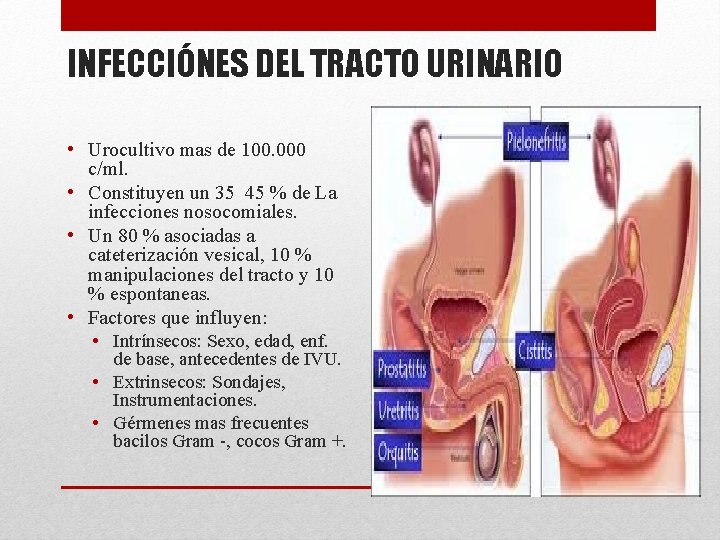 INFECCIÓNES DEL TRACTO URINARIO • Urocultivo mas de 100. 000 c/ml. • Constituyen un