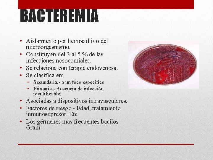 BACTEREMIA • Aislamiento por hemocultivo del microorgasnismo. • Constituyen del 3 al 5 %
