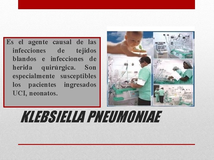 Es el agente causal de las infecciones de tejidos blandos e infecciones de herida