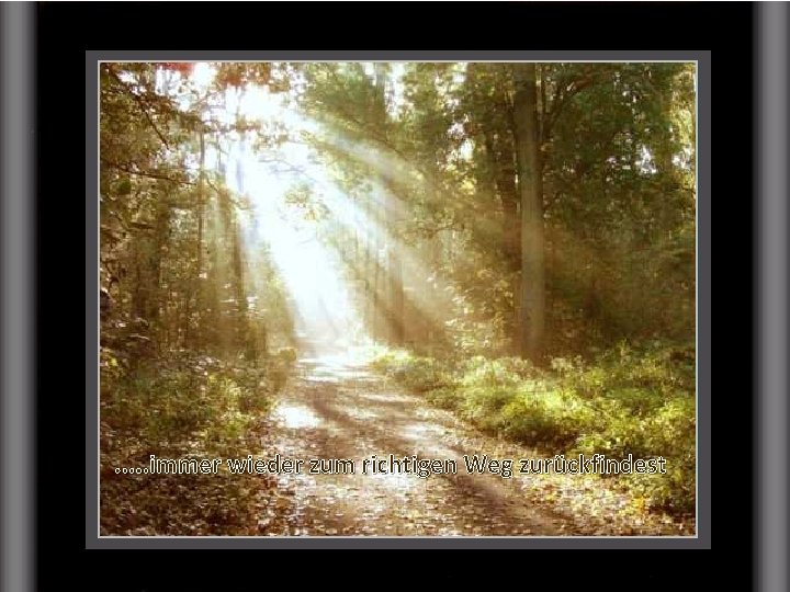 . . . immer wieder zum richtigen Weg zurückfindest . . . immer wieder zum richtigen Weg zurückfindest