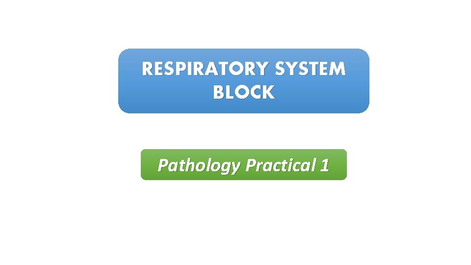 RESPIRATORY SYSTEM BLOCK Pathology Practical 1 